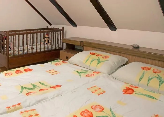 Alpesi faház Snjeguljica *