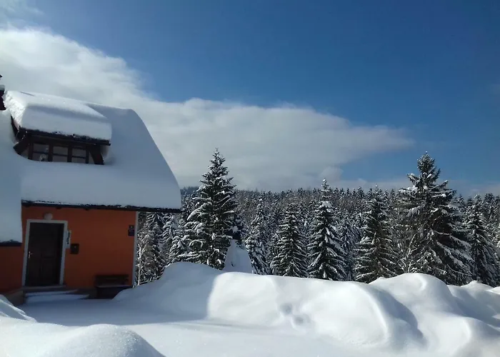 Snjeguljica * Gorači