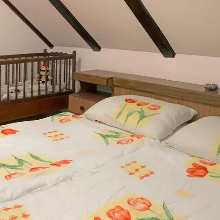 Chalet Snjeguljica *