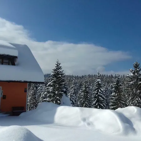 Snjeguljica * Goraci